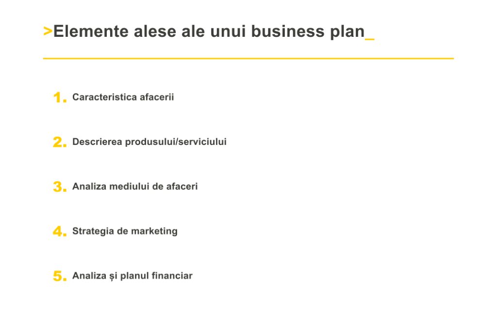 Elemente alese ale unui business plan